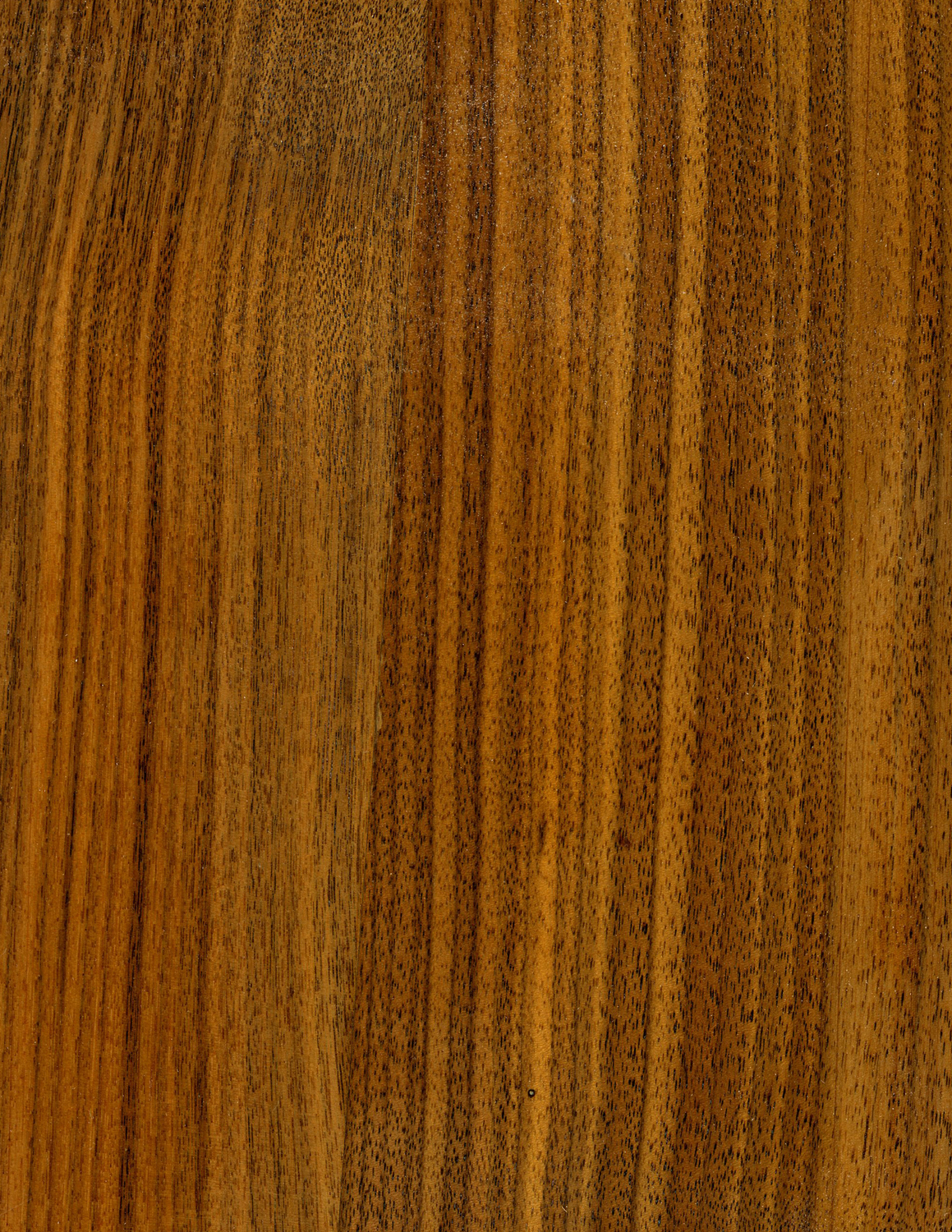 Walnut Wood Grain Texture
