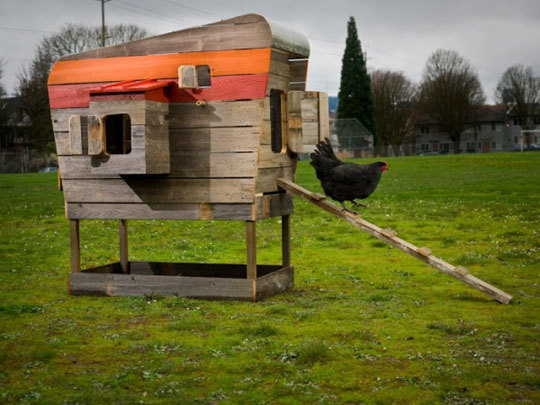 Chicken Coops.Really? | Life of an Architect
