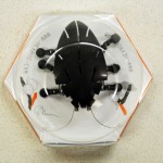 Hexbug Thumb