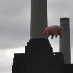 Pink Floyd Animals album thumbnail