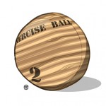 Eames_exercise_ball