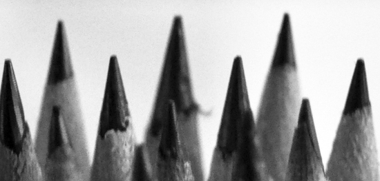 pencil tips black and white