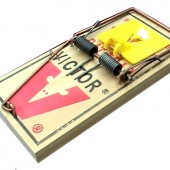 Escalation Guideline for Rat Homicide