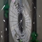 Karma – Did I Have it Coming?