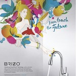 It’s Christmas: Want a new Brizo faucet for free?