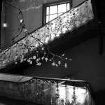 Photography and My Life