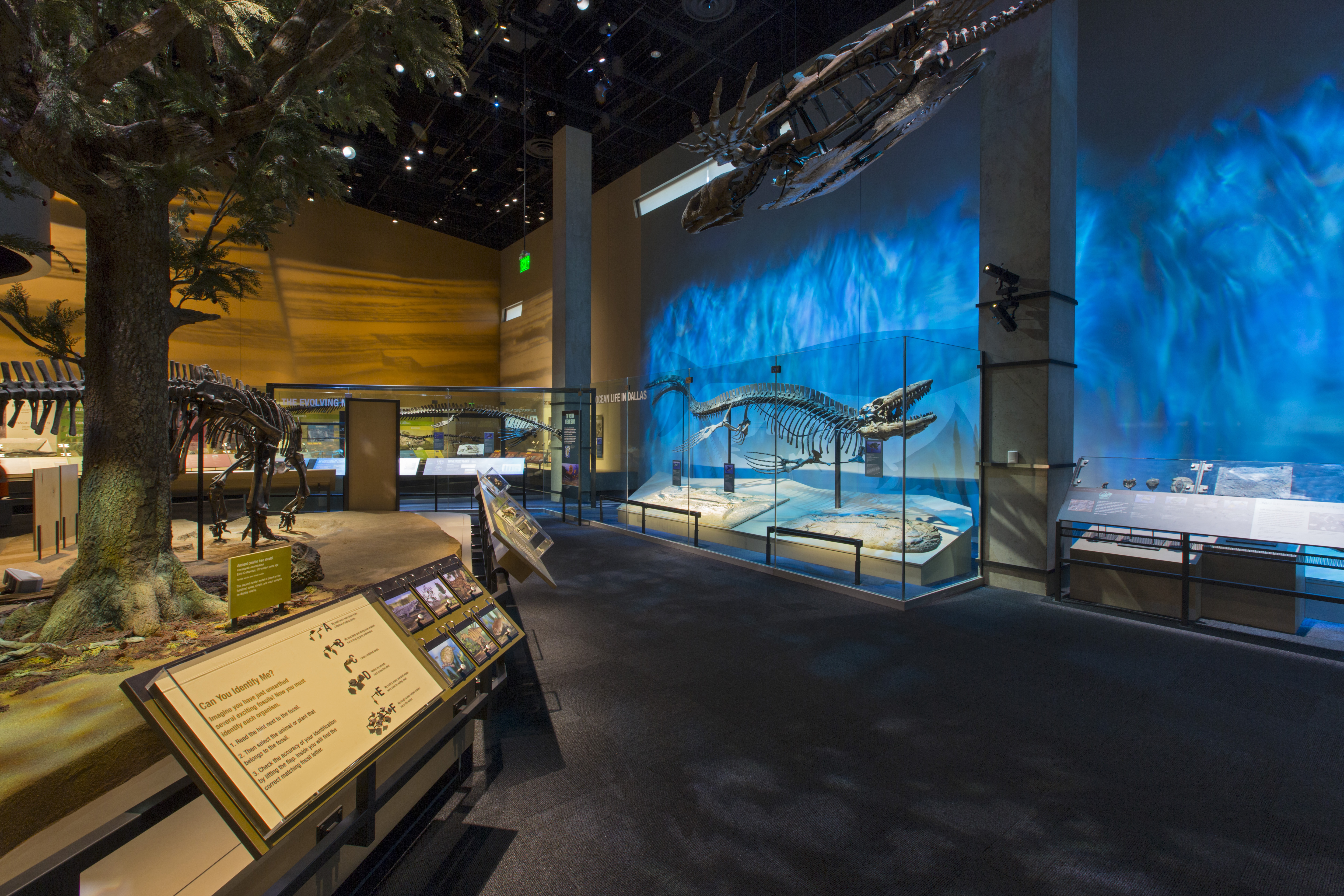 The Dallas Perot Museum of Science and Nature | Life of an Architect