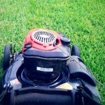 Profile of an Architectural Intern – Part One