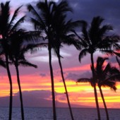 Sunday Scattershooting – Home Sales, Summer, TSA, and Aloha