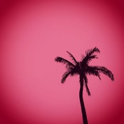 Architecture School is an Island