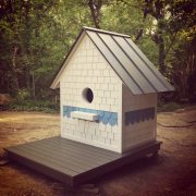 Scale and Proportion – The Architect’s Domain