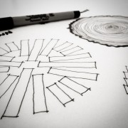 Residential Architecture 101: Wood Veneer