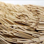 Architects are Crafty