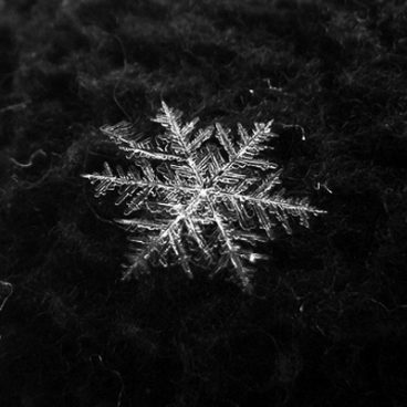 Snowflake