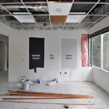 paint samples on the wall