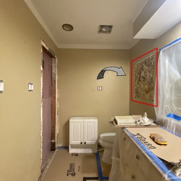 Wallpaper above toilet - sneak peak