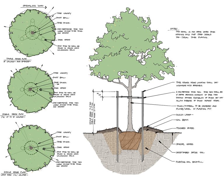 Landscape Staking Detail by Bob Borson - Work to Your Own Standard
