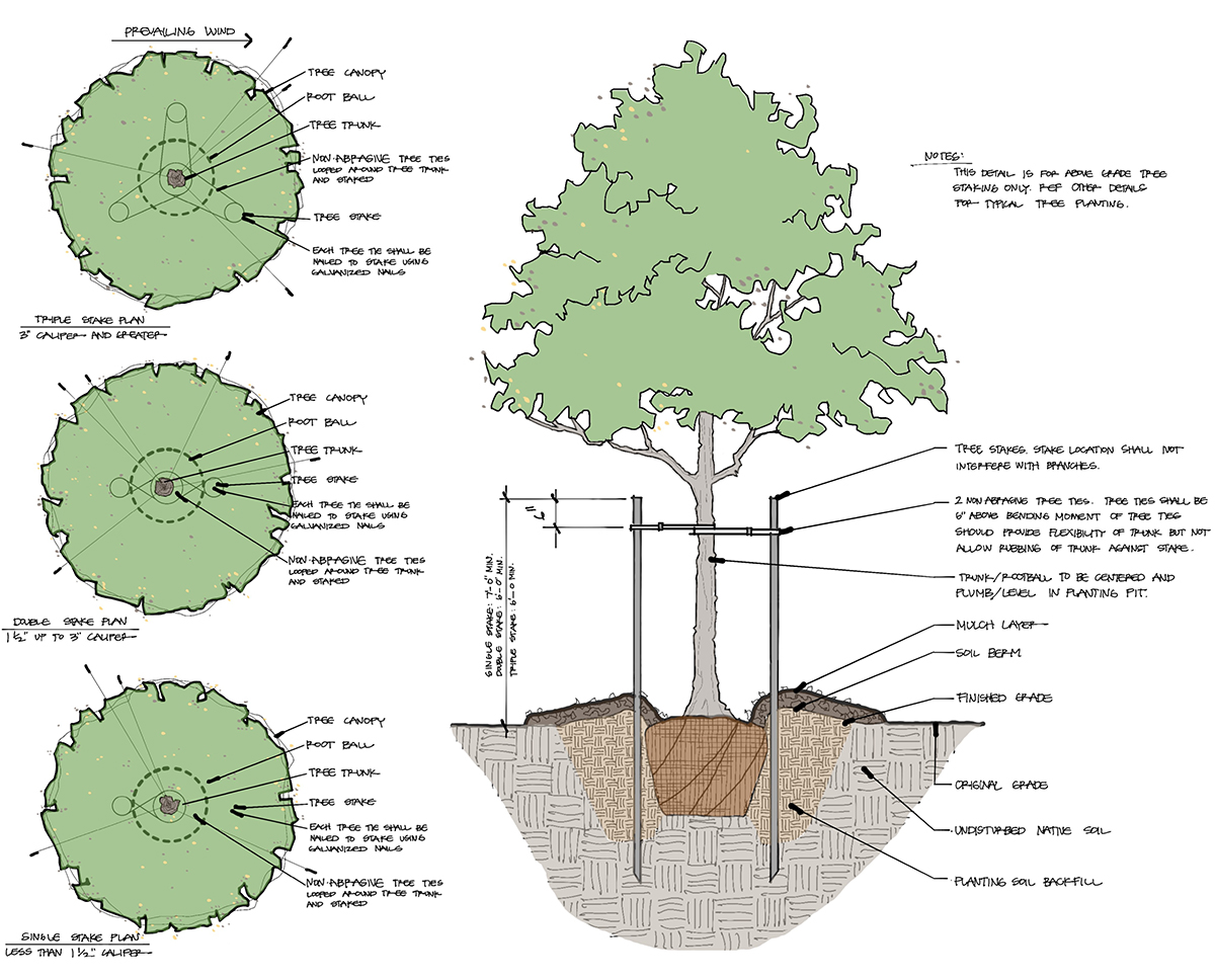 Landscape Staking Detail by Bob Borson - Ep 206: Work to Your Own Standard Landscape Staking Detail by Bob Borson - Work to Your Own Standard